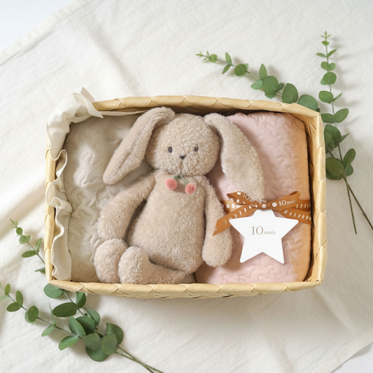 かごギフトL イブル・チェリードゥドゥ うさぎ