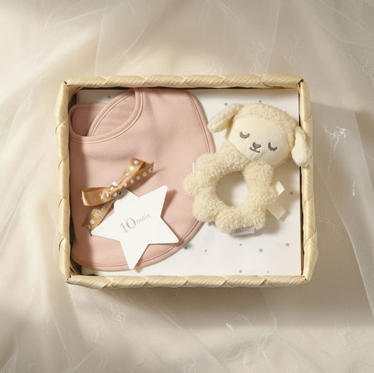 出産祝い ギフトセット かごギフト ラトル スタイ よだれかけ