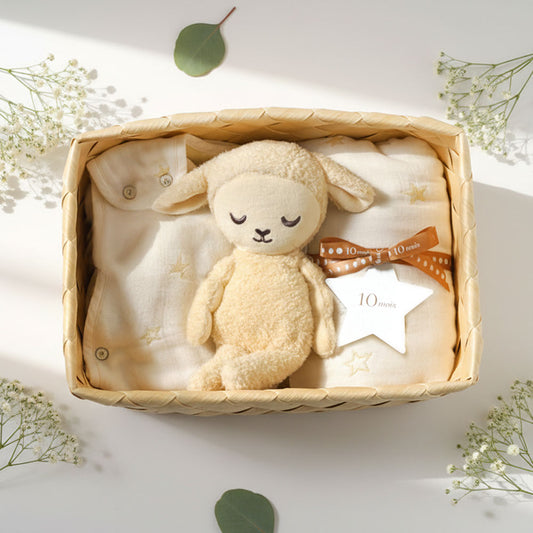 出産祝い ギフトセット かごギフト ぬいぐるみ