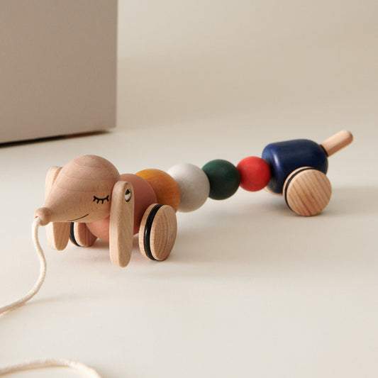 バルテス プルアロングトイ マルチカラー / LIEWOOD