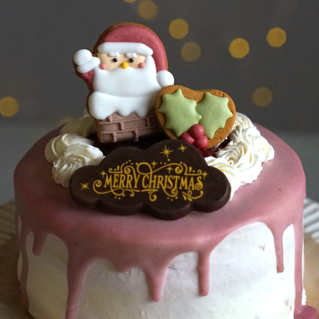 赤い実のクリスマスケーキ　サンタのアイシングクッキー付き4号◎冷凍便