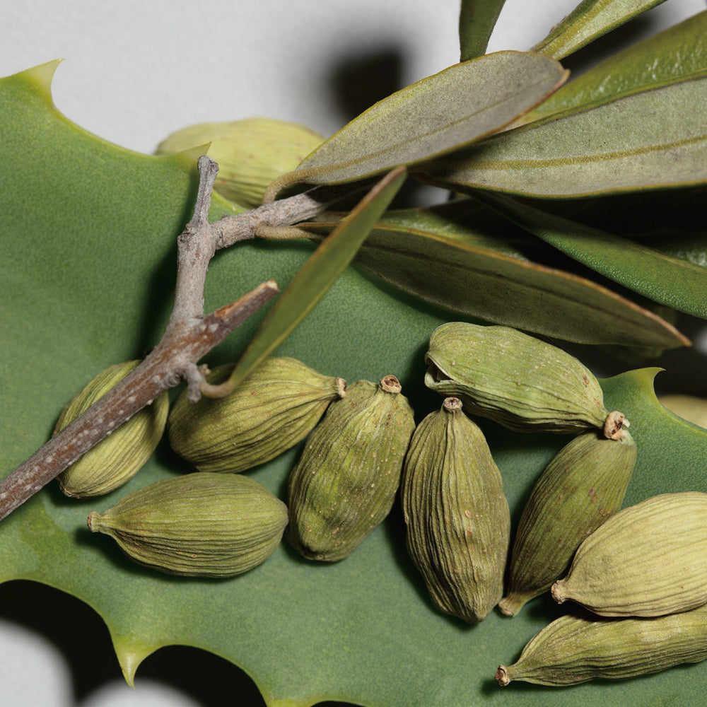 ハンドソープ/ MammaBaby